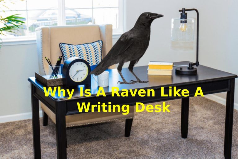 Summary Report Why Is A Raven Like A Writing Desk