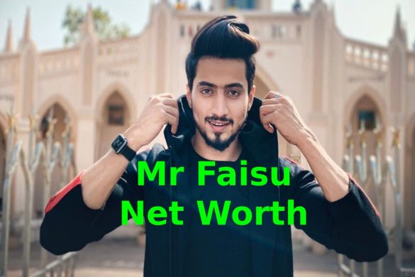 Mr Faisu Net Worth
