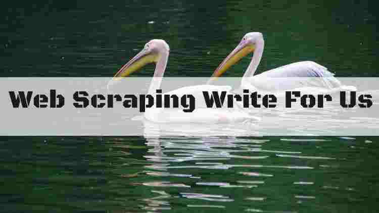 Web Scraping Write For Us