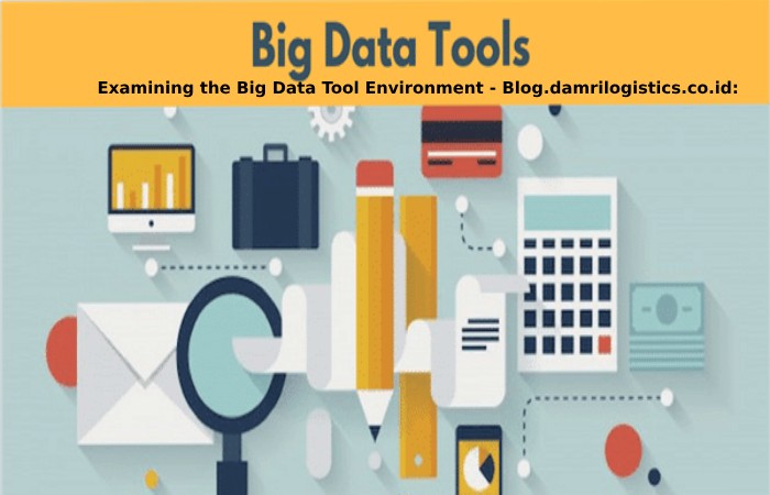 Examining the Big Data Tool Environment - Blog.damrilogistics.co.id_