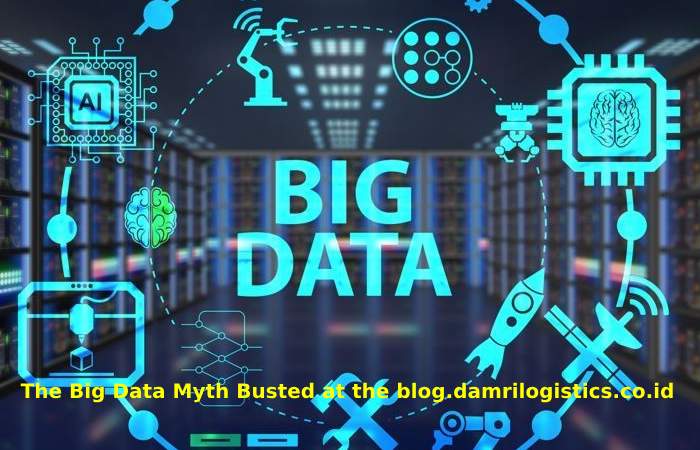 The Big Data Myth Busted at the blog.damrilogistics.co.id