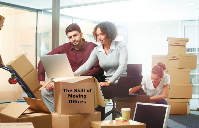 The Skill of Moving Offices