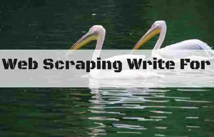 Web Scraping Write For Us