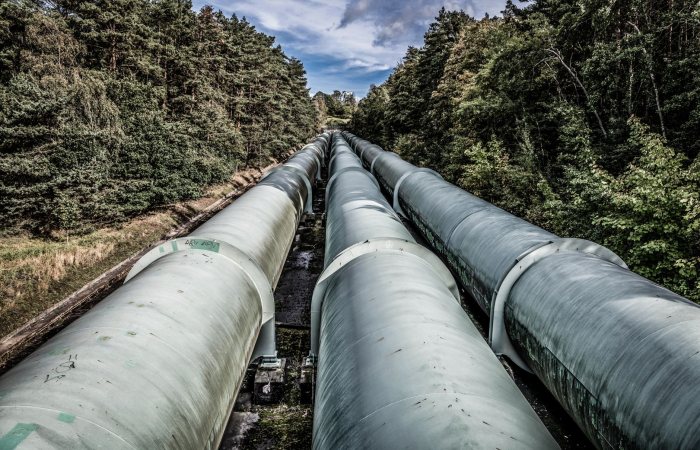 View of large industrial pipelines running through a lush forest landscape.